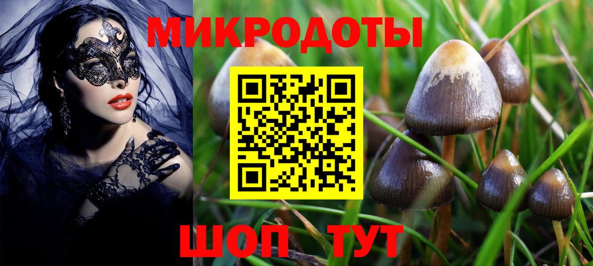 Псилоцибиновые грибы мицелий Трёхгорный